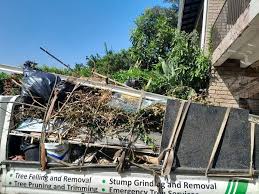 Best Dumpster Rental Services  in Hart, MI